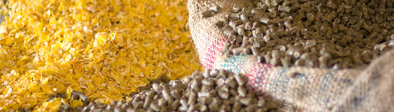 05012016035327animal_feed_800
