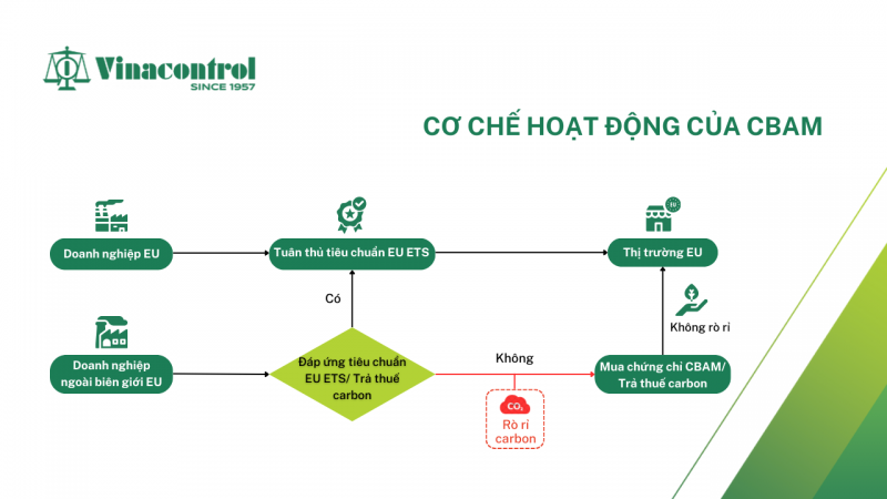 co_che_hoat_dong_cua_cbam_800