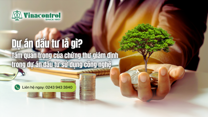 du_an_dau_tu_la_gi_800