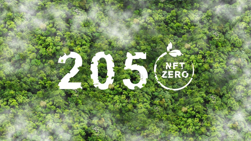 netzero_2_800.