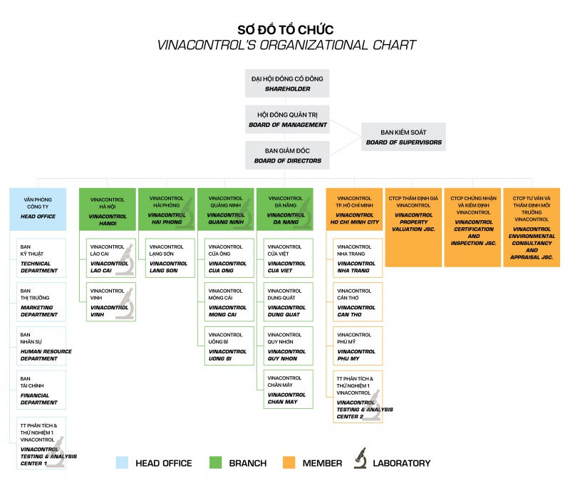 organisation-chart_800_02