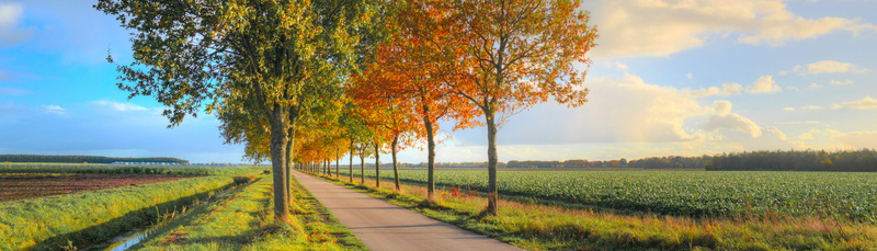 road-1930517_800
