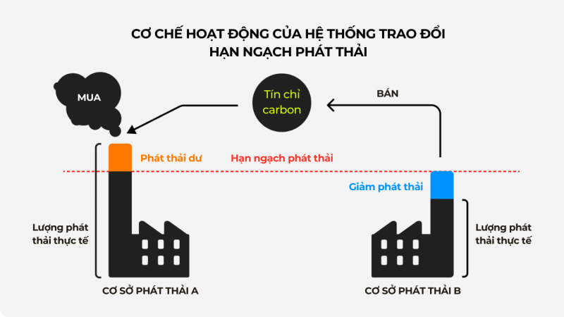 thi_truong_tin_chi_carbon_co_che_hoat_dong_800