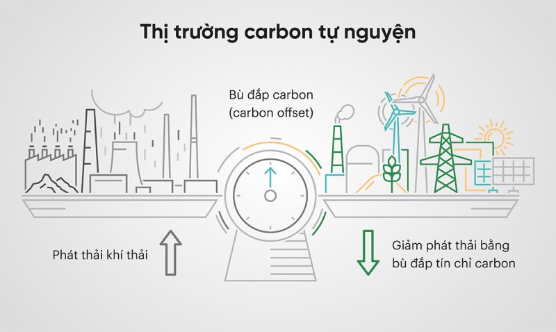 thi_truong_tin_chi_carbon_tu_nguyen_800
