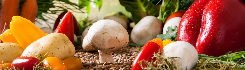 vegetables-landscape-2943500_800