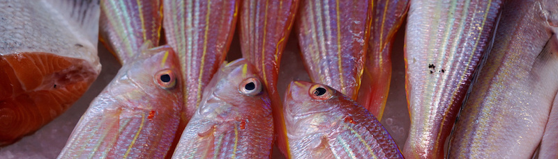 vinacontrol_seafood_inspection_800
