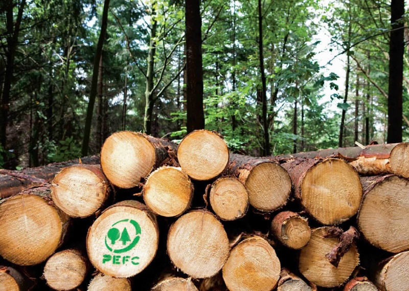 PEFC; Quản lý rừng bền vững với Vinacontrol; Sustainable Forest Management with Vinacontrol