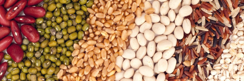 healthy-plant-protein-sources-luvo_800